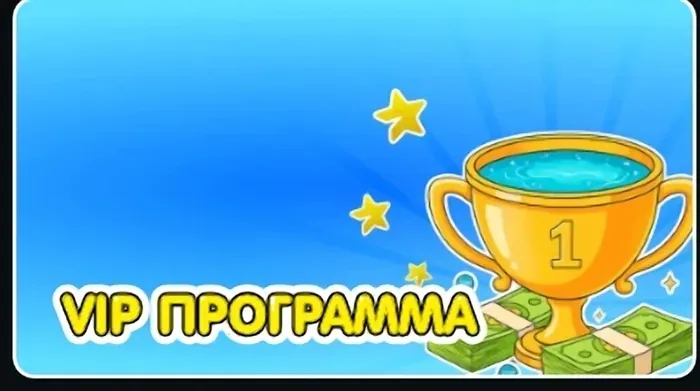 VIP программа